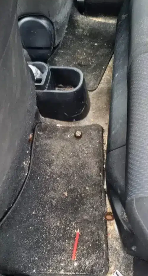 Plancher arrière avant nettoyage